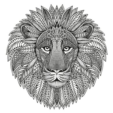 lion I 