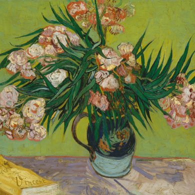  van Gogh oleander 