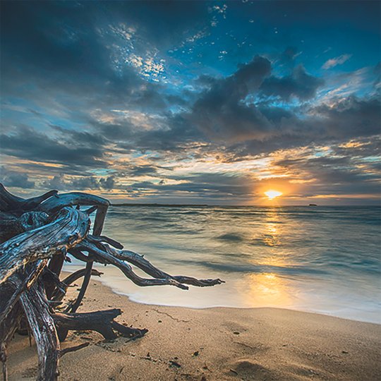  beach II Magnet