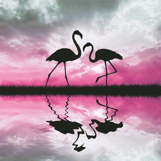  flamingo I Magnet