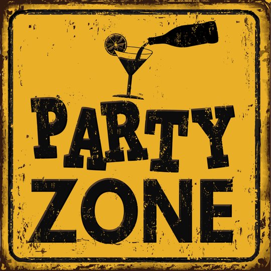  partyzone I Magnet