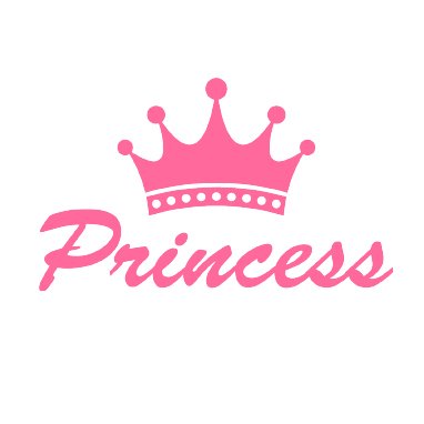  princess Magnet