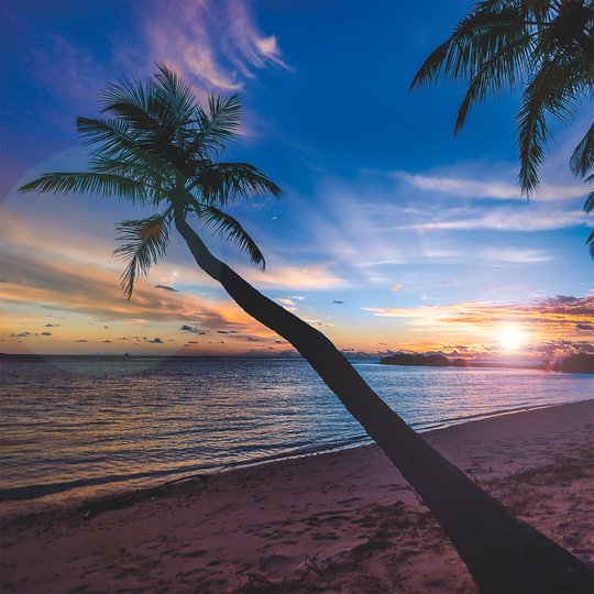  beach I Magnet