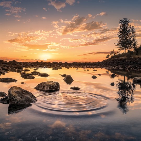  sunset I Magnet