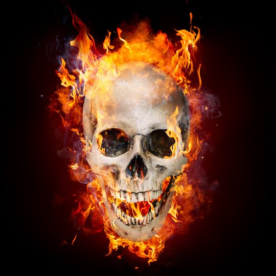  skull I Magnet