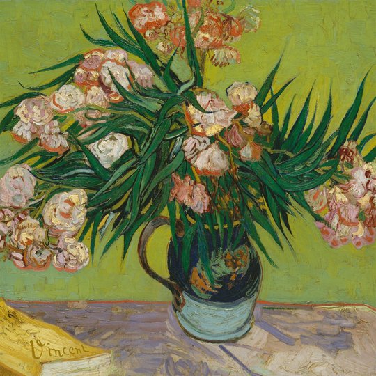  van Gogh oleander